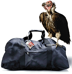Scene from 8 Heads in a Duffel Bag